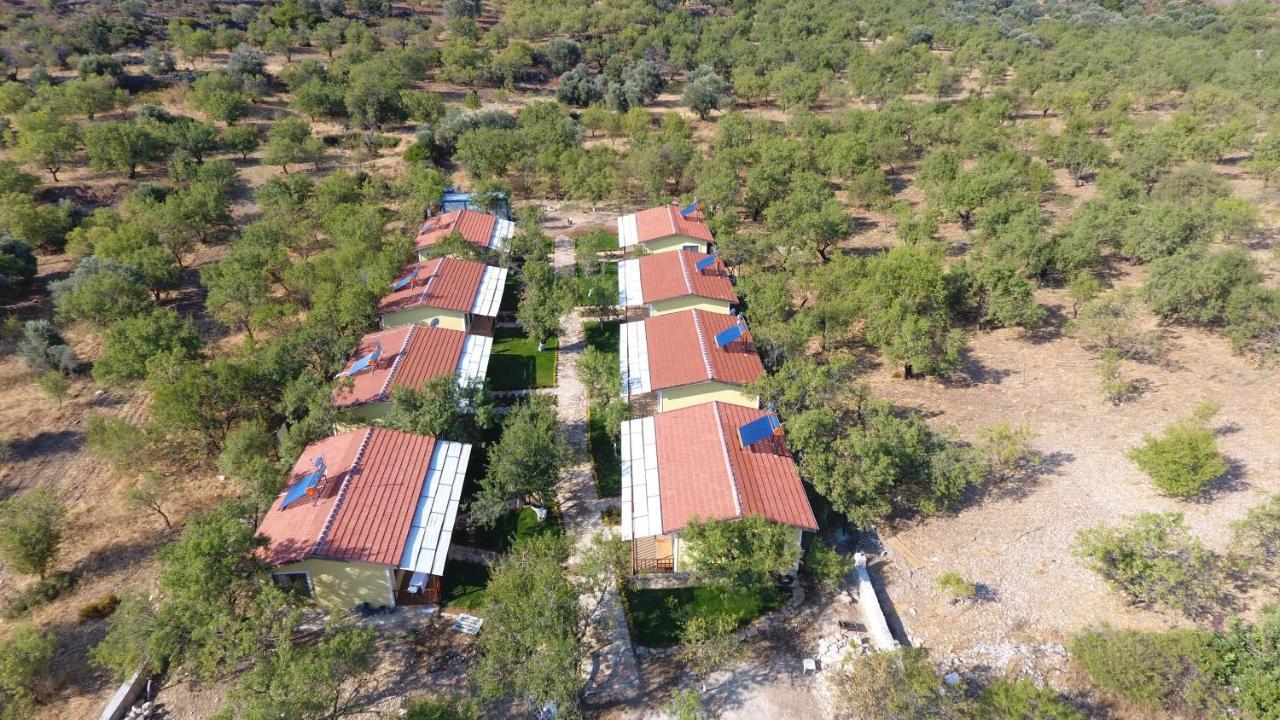 Selerdoga Evleri Palamutbuku Exterior foto
